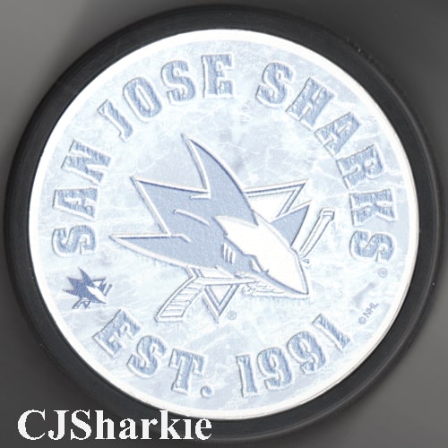 Frozen Logo Puck
