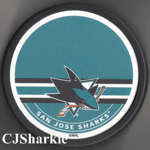 Teal Logo Autograph Style Puck