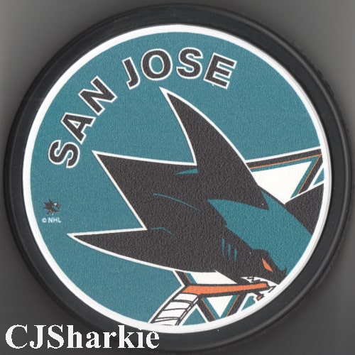 Icon Logo Puck