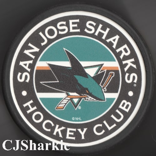 Stripever Logo Puck