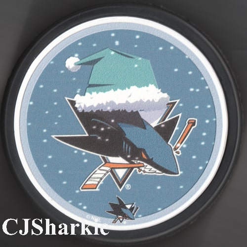 Winter Logo Puck